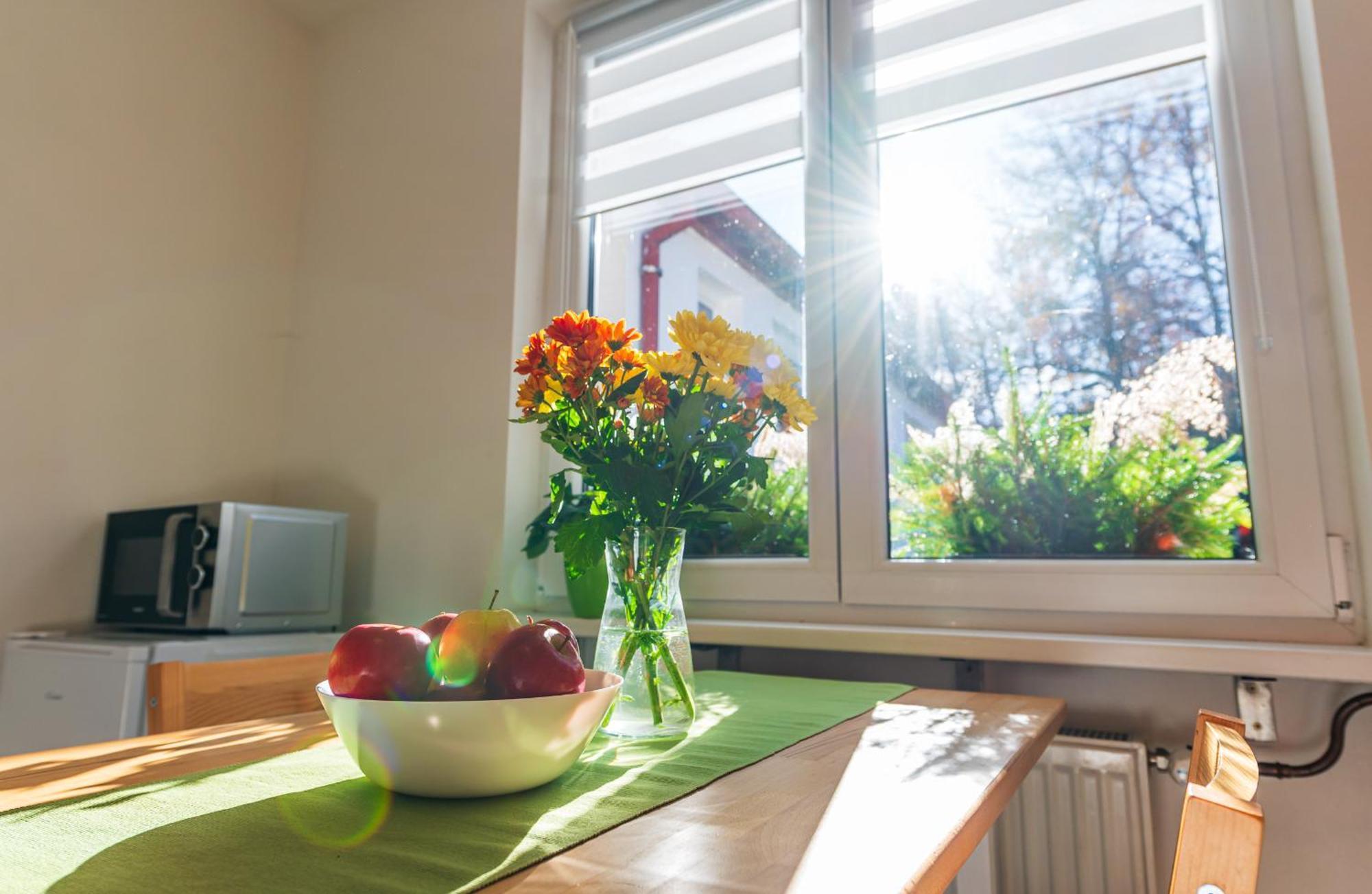 Ubytovani Na Samote - Apartman U Tesaru Komarice Екстер'єр фото