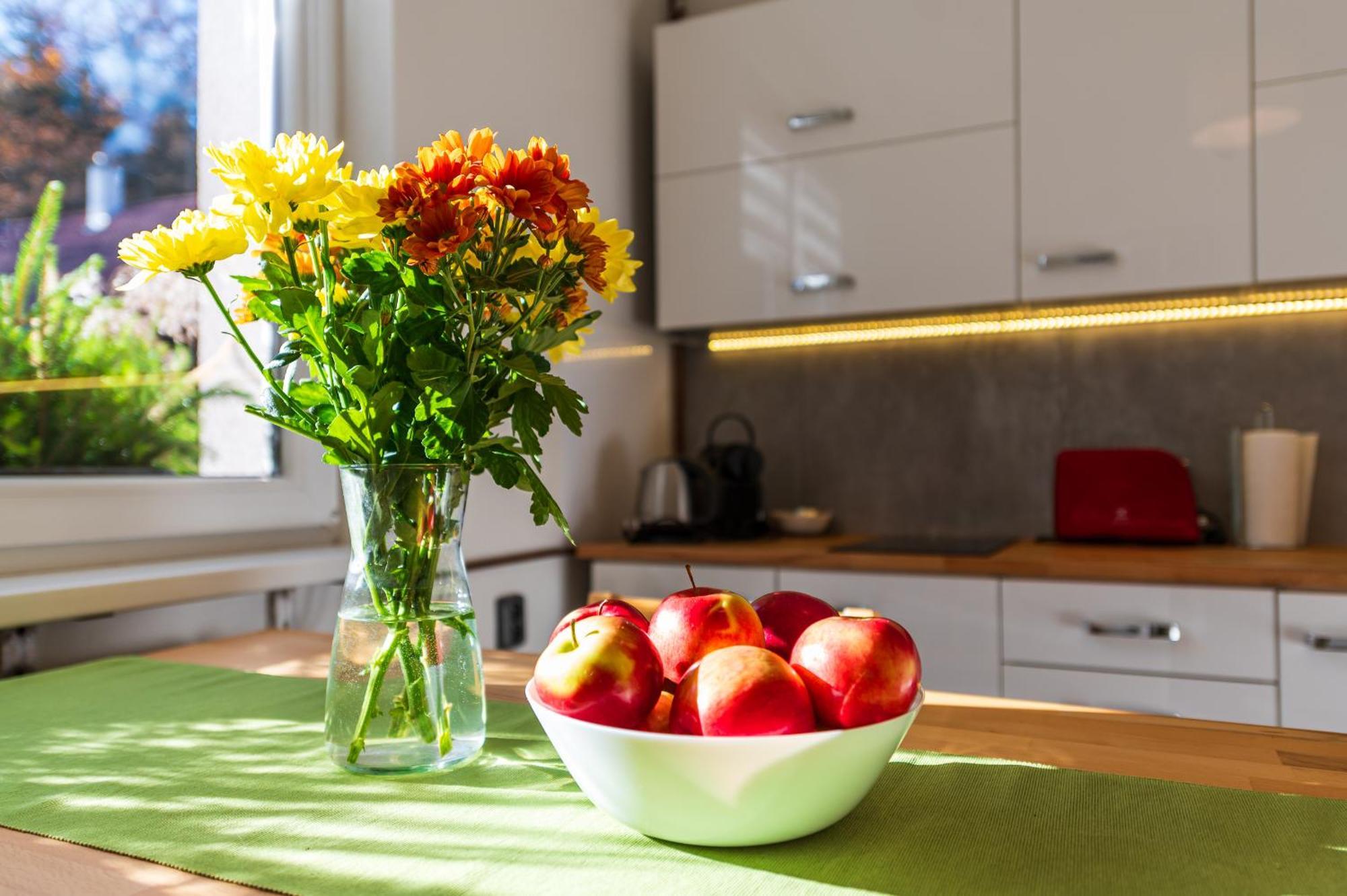 Ubytovani Na Samote - Apartman U Tesaru Komarice Екстер'єр фото